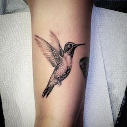 san marcos tattoo emporium